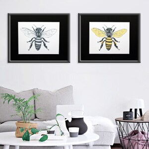 Honeybee - Graphite Pencil illustration Art Print. Color and Black and White versions.