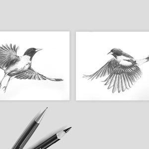 Birds Pencil Sketch