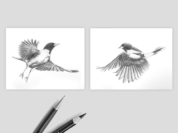 鳥の鉛筆スケッチ - Etsy 日本