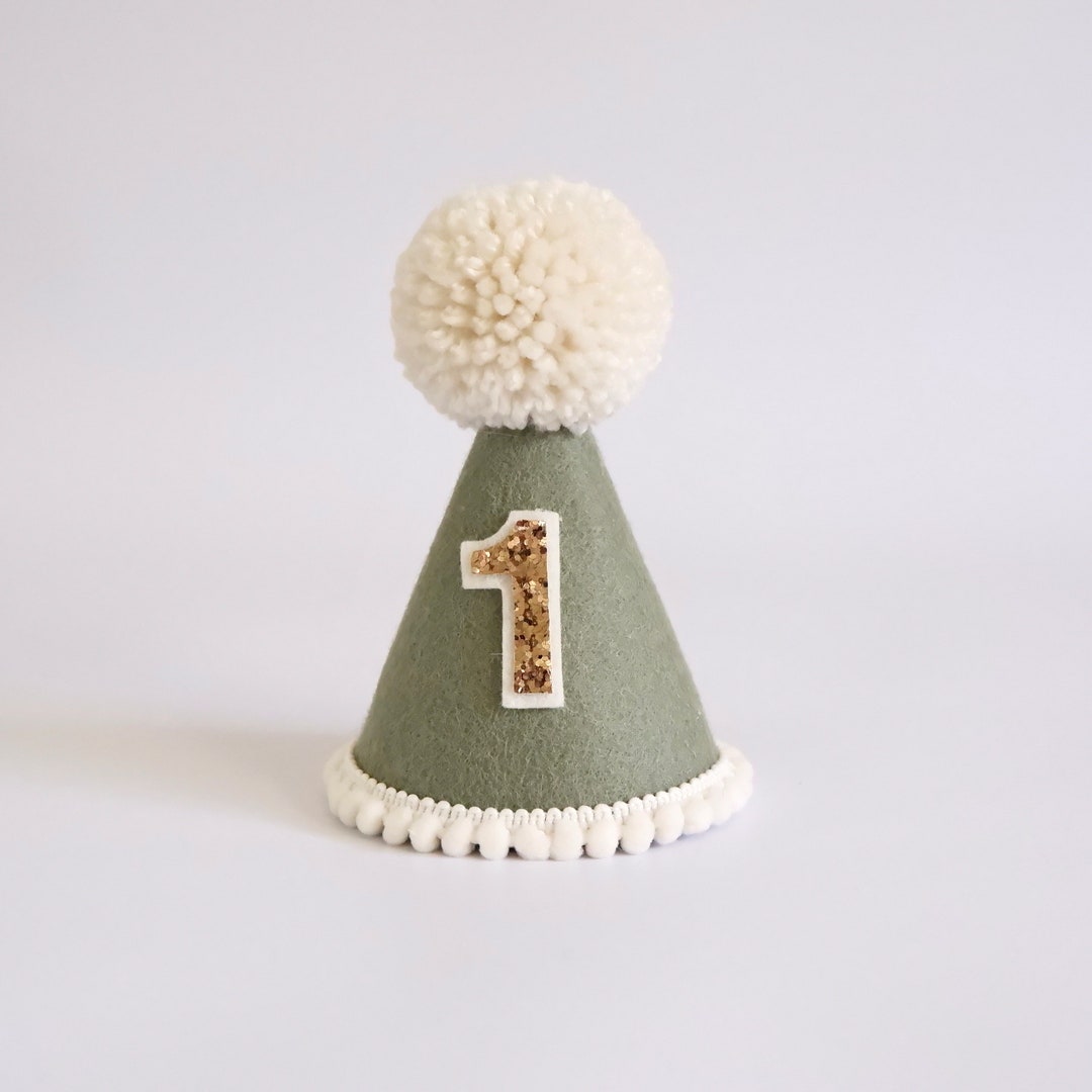 Eucalyptus Party Hat Eucalyptus Birthday Hat First Birthday Birthday Party Hat Party Hat Cake