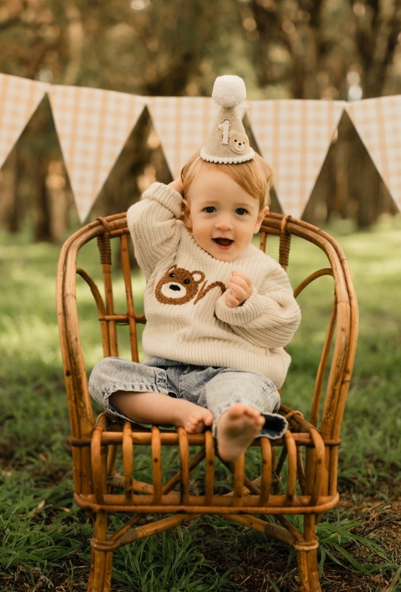 May include: A baby wearing a cream sweater with a brown bear applique and the number 'one' on it, sits in a wicker chair. The baby is wearing a brown felt party hat with a white pom-pom on top and the number 'one' on the front. The baby is smiling and looking at the camera.