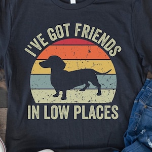 Dachshund Shirt, Funny Gift for Dachshund Lover, Retro Vintage Dachshund, Dachshund Mom, Wiener Dog Shirt, I&#39;ve Got Friends In Low Places