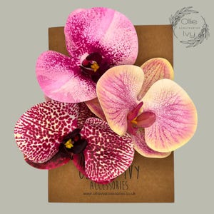 Tropisch gemengde kleuren orchideebloem krokodil clips, tropische en roze sproet