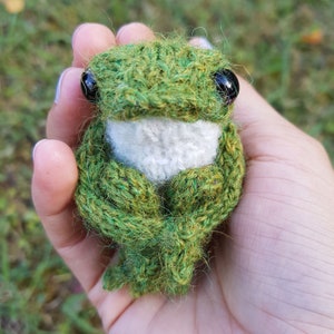 froggy with pipe cleaners in the limbs can pose for you!