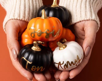 Può includere: Una collezione di piccole zucche decorative nere, arancioni e bianche con steli in oro metallizzato. Le zucche presentano nomi personalizzati scritti in corsivo dorato, inclusi i nomi Josie, Ton e Amy, disposti in un gruppo.