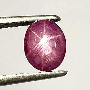 May include: An oval-cut ruby gemstone with a star effect, held by tweezers. The gem is a deep pinkish-red colour. The star pattern is visible across the surface of the stone, against a white background.