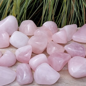 Rose Quartz Tumbled Stone, Premium Quality 'A' Grade, You choose the size you would like !! UK Seller