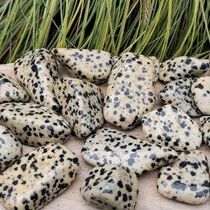 Dalmatian Jasper Tumbled Stone.You choose the size you would like !! UK Seller