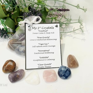 My 1st Crystal's Starter Kit, Amethyst, Clear Quartz, Sodalite ,Tiger Eye, Rose Quartz, Moonstone, Children's Gemstone Beginner Kit.