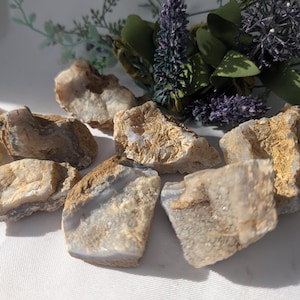 May include: A selection of raw, natural stones in shades of beige, brown, and pale blue. The stones have a rough, textured surface and irregular shapes. Some stones have a crystalline appearance. The background features sprigs of lavender and greenery.