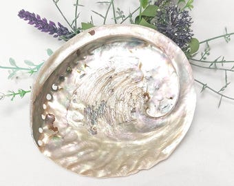 Natural Abalone Shell, 14cm Smudge Bowl, Abalone Shell, Smudge Bowl, Smudge Shell, Holds Smudge Sticks, Incense, Crystal Display Holder.