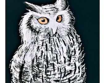 White Owl on Black Print | Acrylic Owl Print | White Owl Feather | Fine Art Owl Print | Black Background White Owl Art | Owl Lover