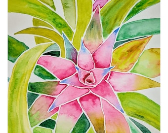 Bromeliad Watercolor Print | Houseplant Art Print | Houseplant Lover Art | House plant watercolor Art