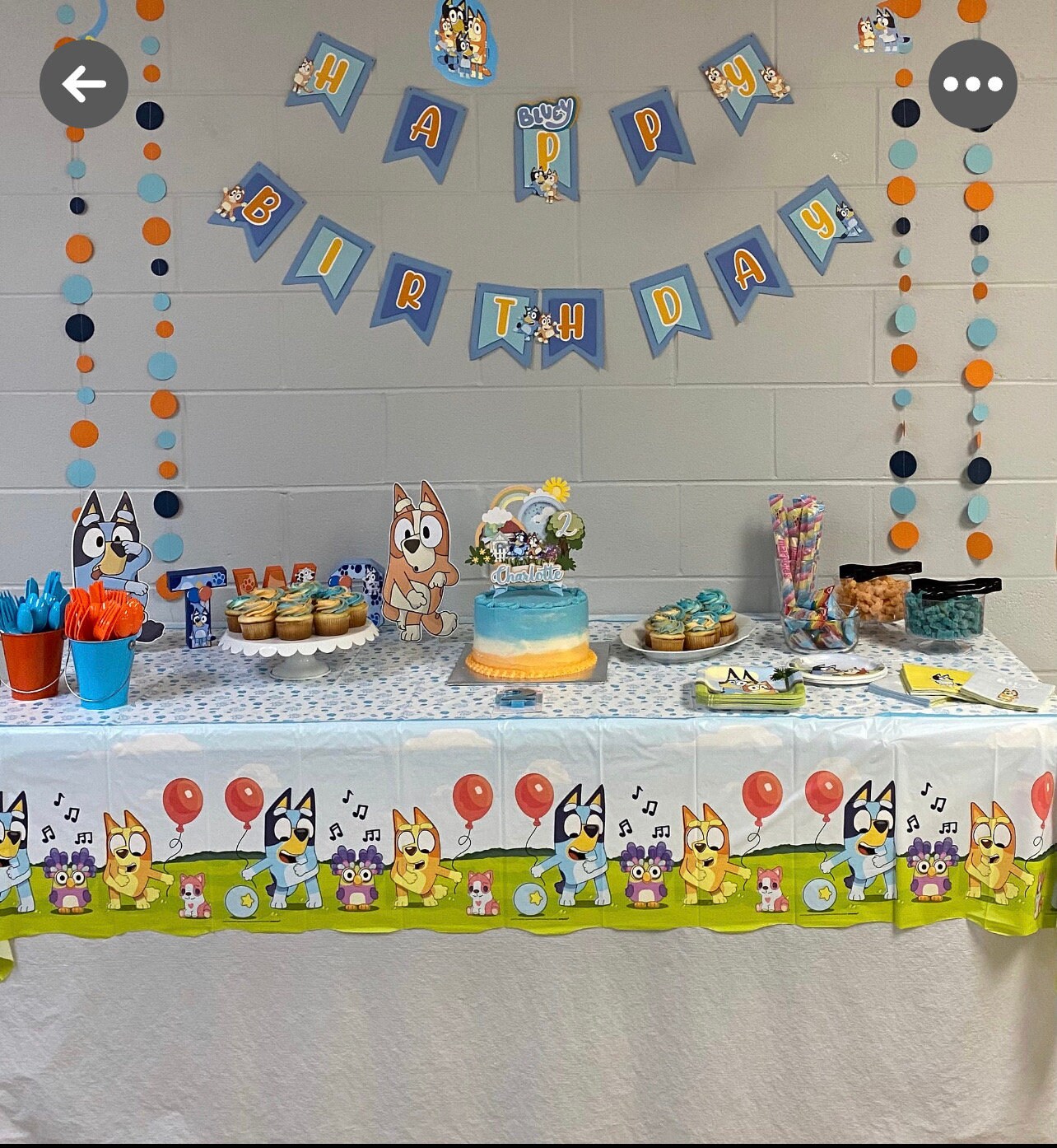Handmade Bluey Banner