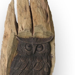 Eule Aus Einer Baumstamm Halfte Krokodilholz Hohe 11cm Etsy