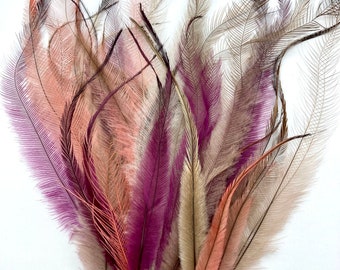 Cruelty free emu feathers . 20 assorted lengths. Dyed peach, plum, mushroom and undyed. ‘Peach plum mix’
