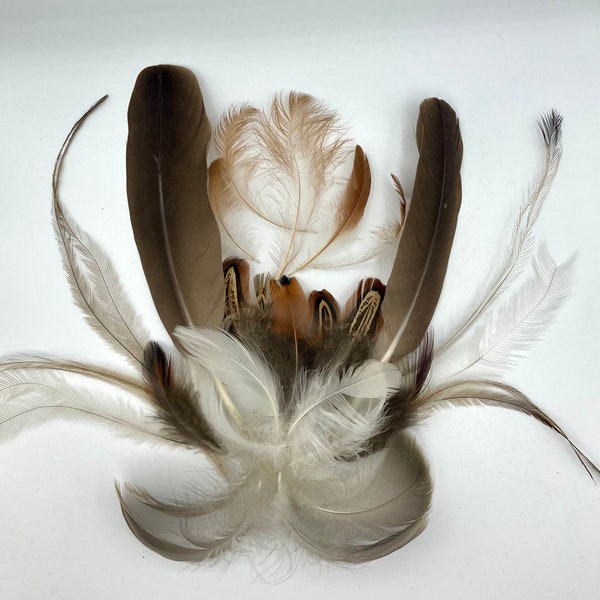 25 Cruelty free, ethical, foraged assorted feathers. Suitable for crafts, cat toys, smudge sticks etc.