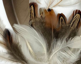 5 Cruelty Free Foraged Feathers. Canada Goose Dyed Aubergine Etsy