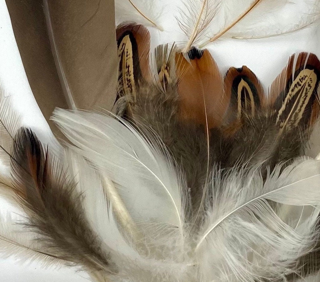Vegan Hair Feathers Etsy
