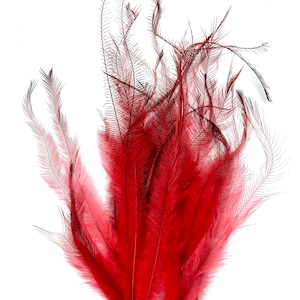 Cruelty free emu feathers. 20 assorted lengths lipstick red