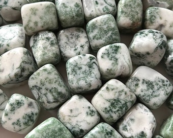 Tree Agate Tumbled Stone | Life Cycles | Heart Healing | Family Bonds | Strength | Abundance