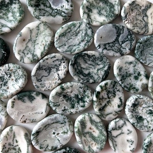 Tree Agate Worry Stone | Life Cycles | Heart Healing | Family Bonds | Strength | Abundance