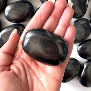 Piedra de palma de Shungit cruda sin terapia con cristales electrosmog