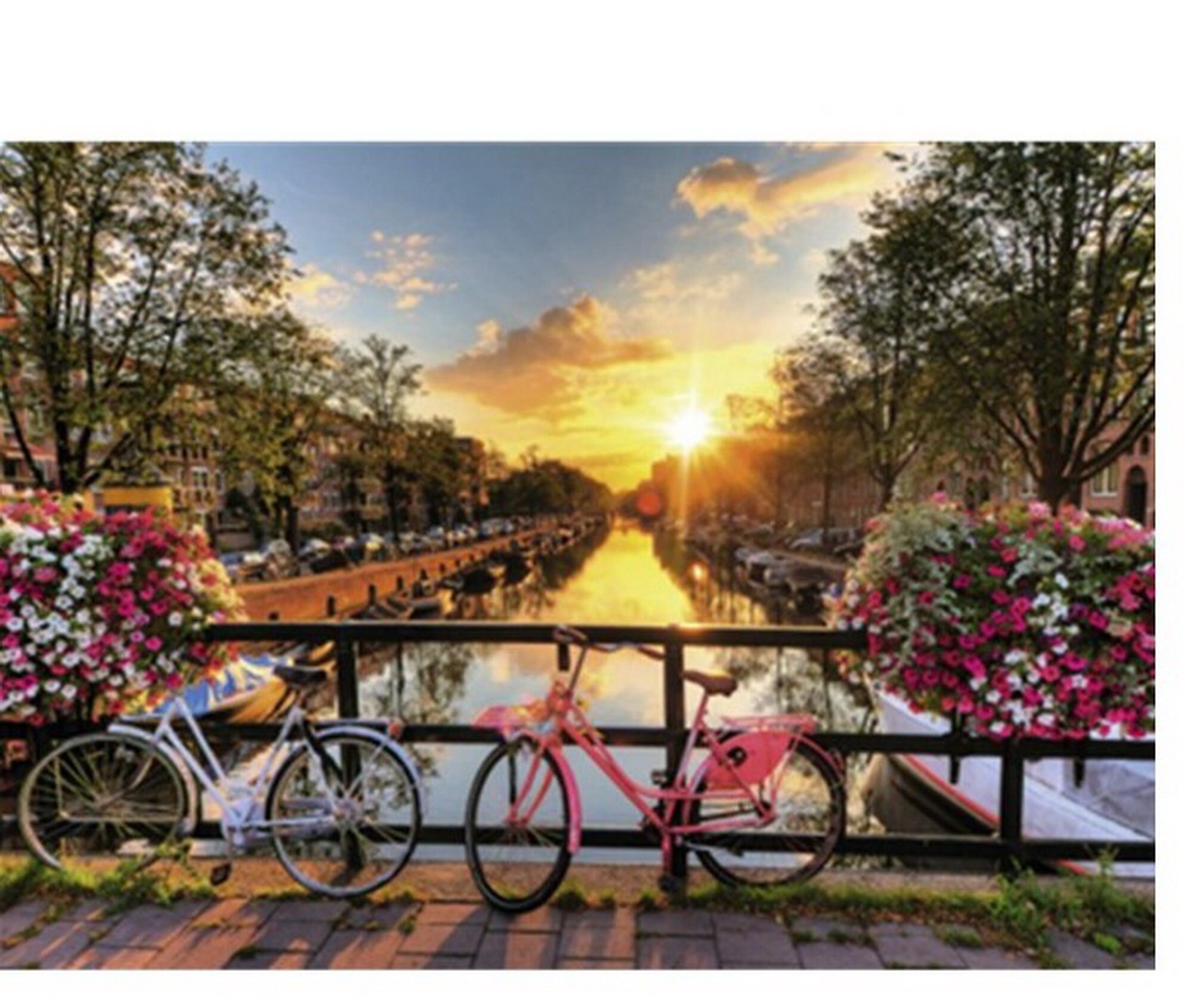 Romantic Bicycle Paint by Number kit Home Decoration Color Etsy