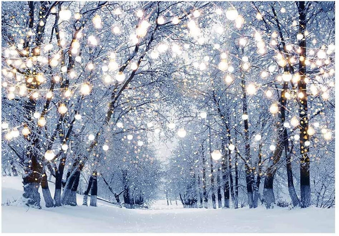 Winter Scene Backdrop Wonderland Snowflake Photography Etsy