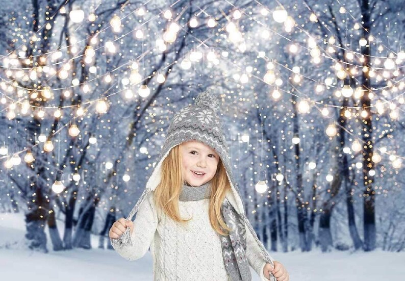 Winter Scene Backdrop Wonderland Snowflake Photography - Etsy