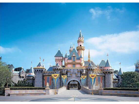 Hermoso castillo de Disney Telón de fondo Dibujos animados - Etsy México