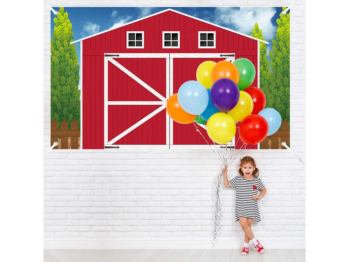Barn Door Backdrop Barn Door Props Party Accessory Farm Etsy