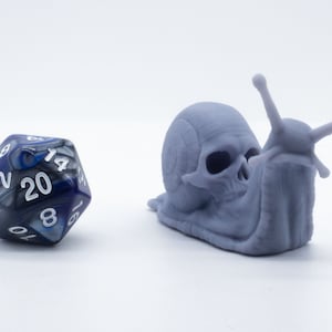 The Skull Snail - Miniature - DND - Tabletop