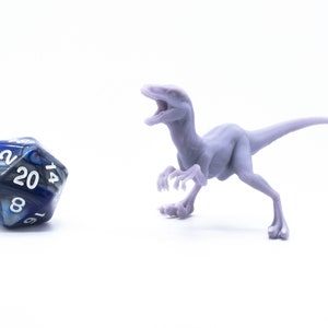 Raptor - Miniature - Tabletop - Collectable - Figure - RPG