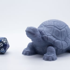 Tortuga - Miniatura - DND - Mesa