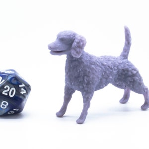 Cockapoo - Miniatura - Mesa - Coleccionable - Figura - RPG
