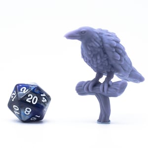 Inquisitive Raven - Miniature - Tabletop - Collectable - Figure - RPG