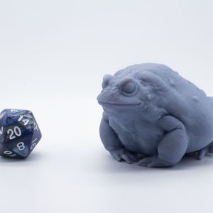 Fat Toad - miniatuur - NS - tafelblad