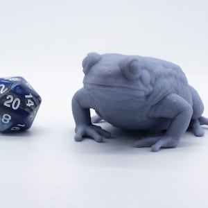 Frog - Miniature - DND - Tabletop
