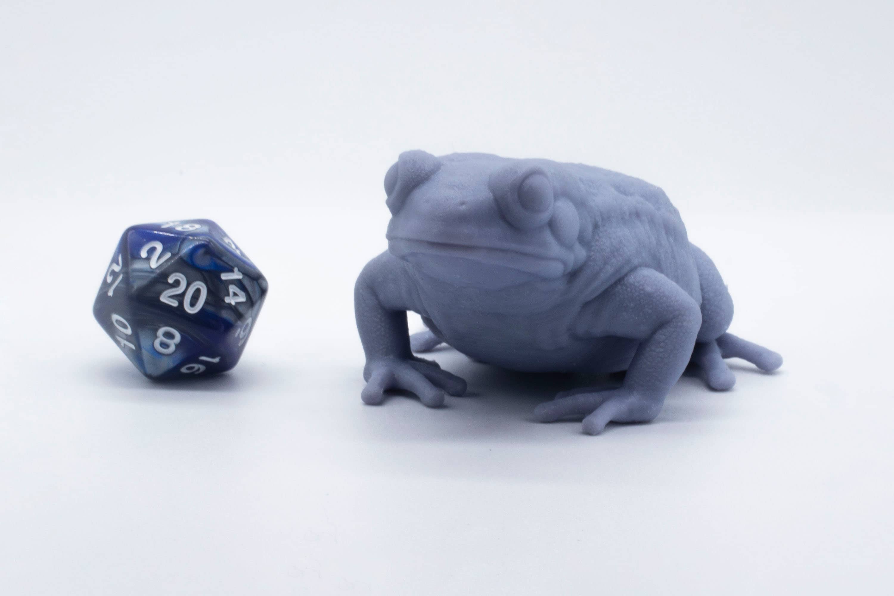 African bullfrog - Etsy 日本 African bullfrog - Etsy 日本