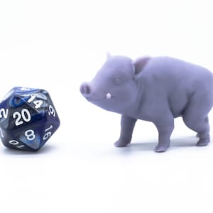 Baby Boar - Miniature - Tabletop - Collectable - Figure - RPG