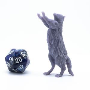 Begging Raccoon - Miniature - Tabletop - Collectable - Figure - RPG