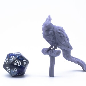 Phénix curieux - Miniature - de table - Objet de collection - Figurine - RPG