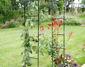 Vintage Retro Heavy Duty Metal Garden Decor Arch Bridge Strong Tubular Rose Climbing Plants Archway Wedding Decor