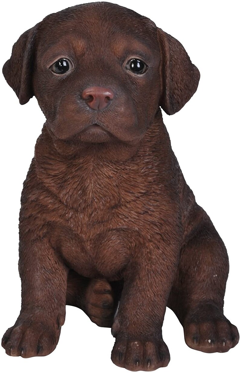 Unique Rare Vivid Arts Cute Sitting Brown Labrador Puppy Dog | Etsy