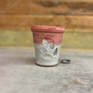 May include: A small, handmade ceramic pot with a paw print design. The top is a reddish-pink color, and the bottom is white with a paw print cut-out. A silver bottle cap sits next to the pot.