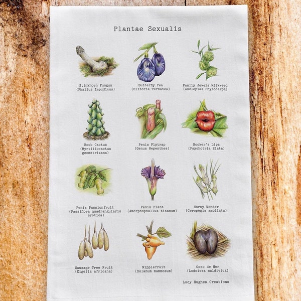 Plantae Sexualis illustrated cotton tea towel - perfect gift for gardeners, plant lovers, green fingered horticulturalists