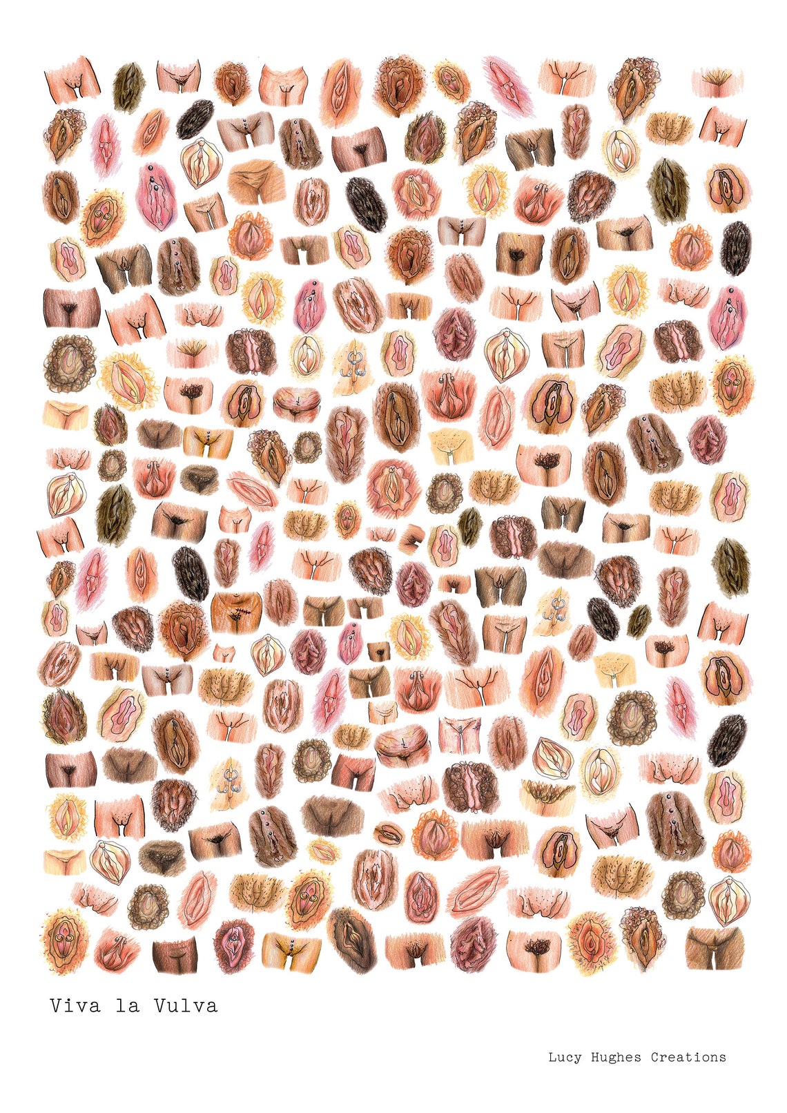 Vulva Art. Viva La Vulva Hand Illustrated Print of Vaginas, Vulvas ...