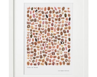 Viva La Vulva Art Print | Feminist Wall Art | Body Positive Illustration | Empowering Women’s Art | Inclusive Anatomy Print
