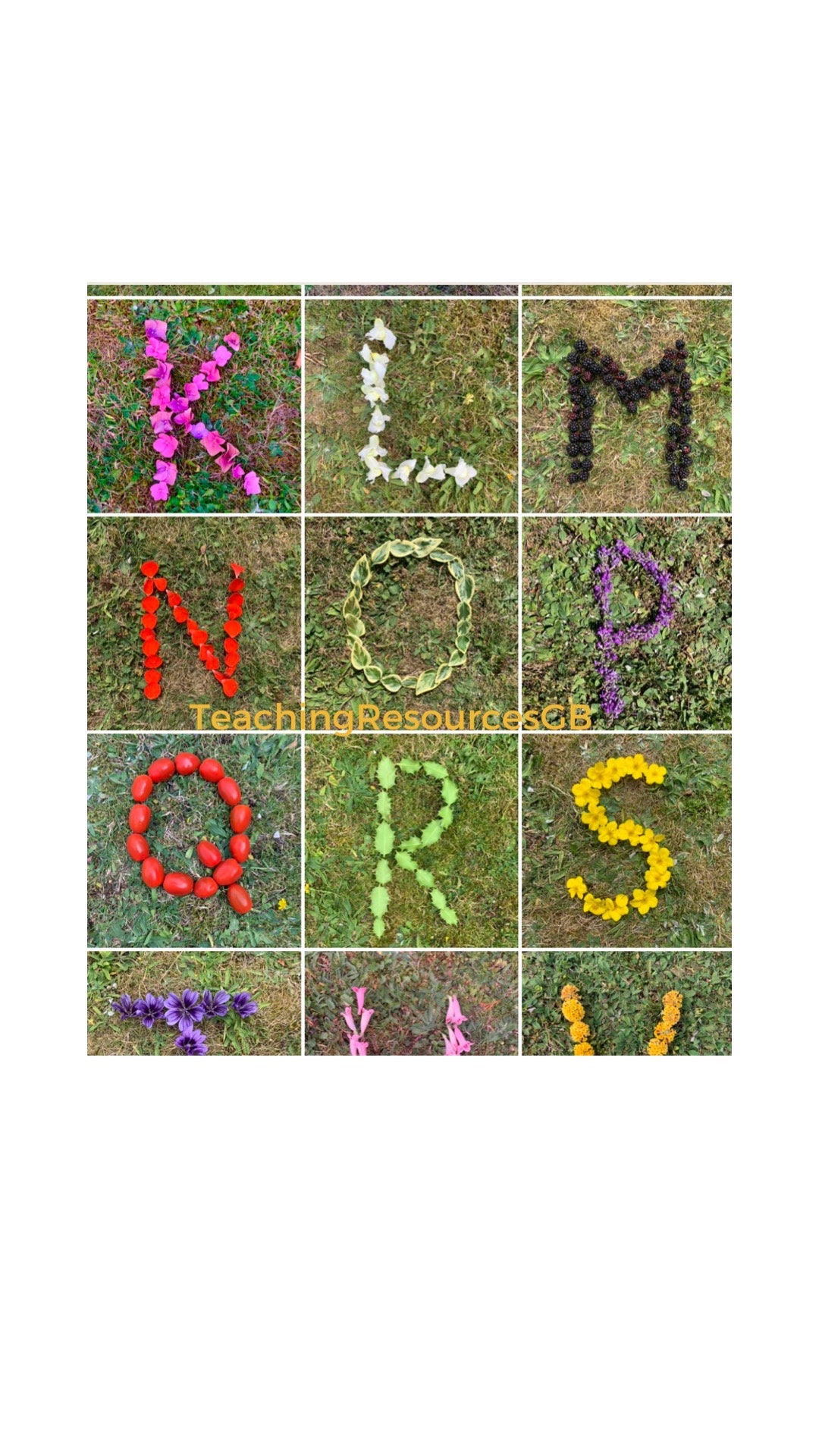 Az Nature Alphabet capital Letters Downloadable. Etsy